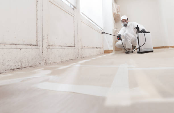24/7 Emergency Mold Remediation experts in Coatesville, PA