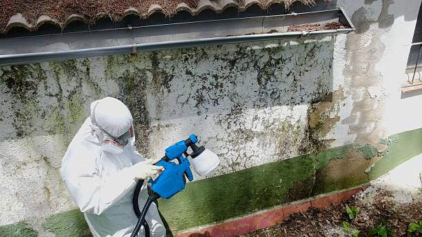 Top rated local Mold Remediation specialists in Coatesville, PA